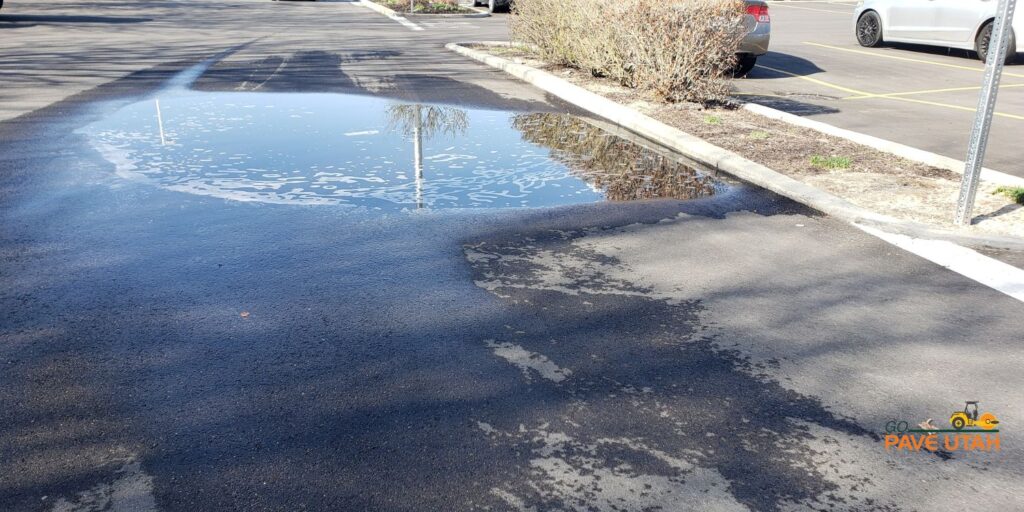 Water Wins: What Poor Drainage Is Doing to Your Asphalt Below the Surface